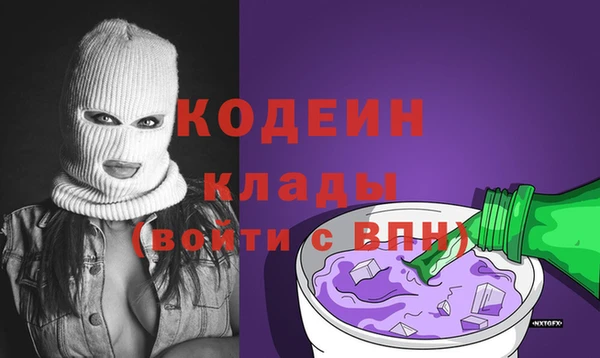 шишки Ладушкин